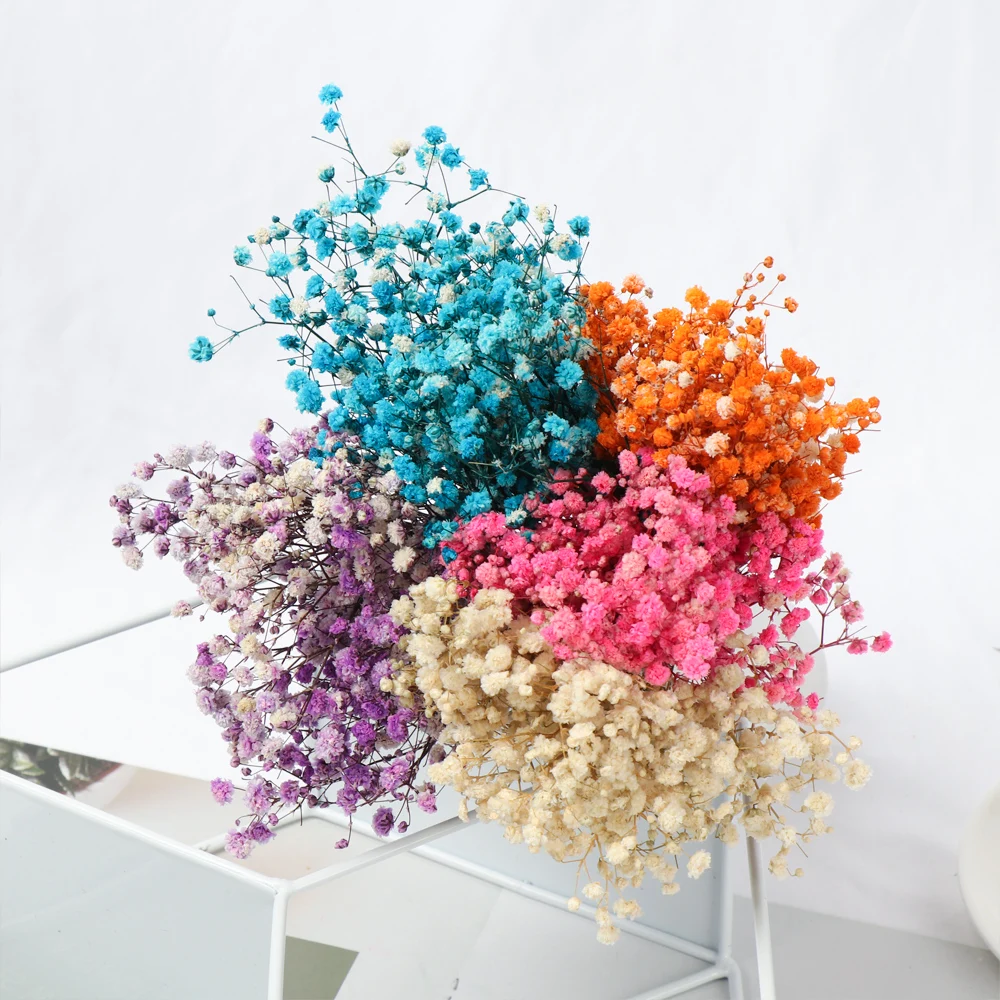 

Colorful Mini Natural Dried Bouquets Gypsophila Real Flower Plant Stems Material DIY Craft Wedding Party Home Decor Supplies