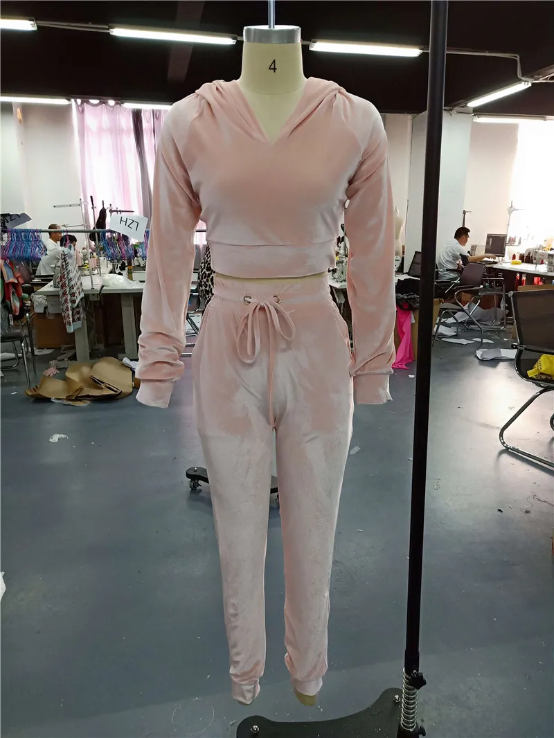 

Women Two Piece Outfits Harajuku Long Sleeve Hooded Top And Pants Womens Solid Autumn Winter Clothes 2020 SJ4943R