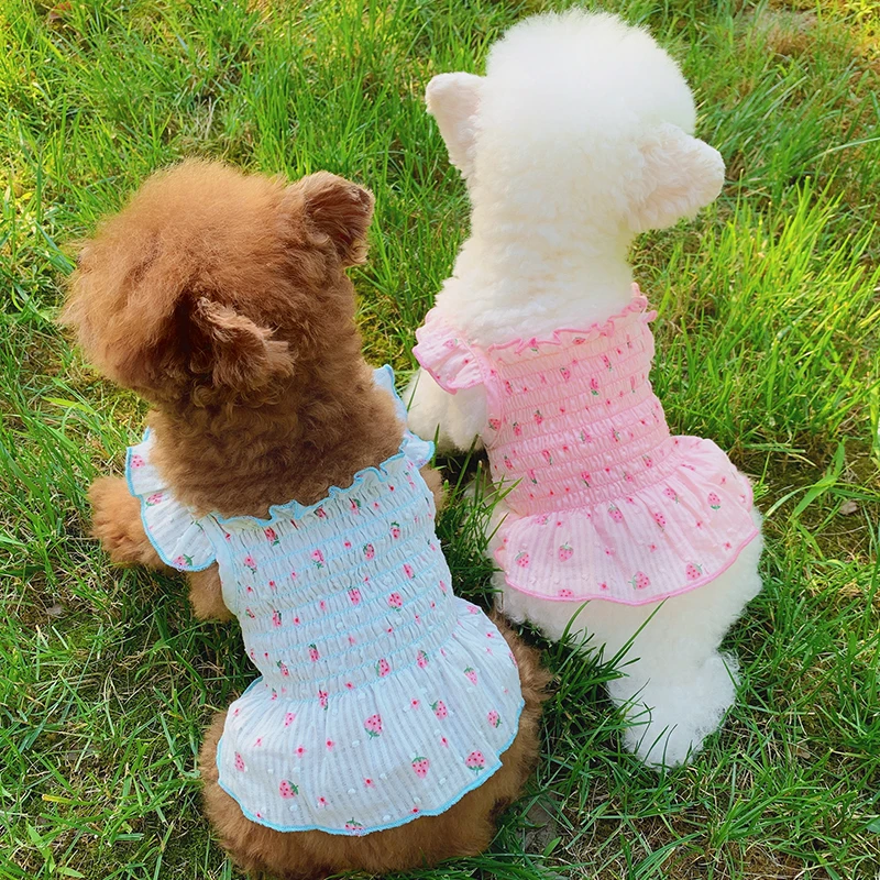 

Summer Pet Clothes Strawberry Dress Cat Puppy Skirt Yorkie Poodle Yorkshire Apparel Outfit Bichon Schnauzer Chihuahua Costume
