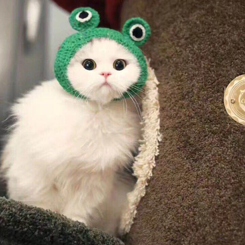 Новый головной убор для питомца шапки лягушки ручной вязки питомцев шапка