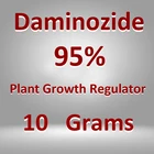 10 г, порошок даминозида 95%, растительный гормон, регулятор роста растений