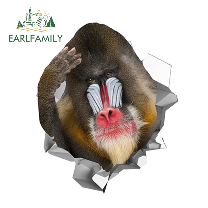 EARLFAMILY 13 см x 10 8 Автомобильная наклейка с обезьяной рваная металлическая