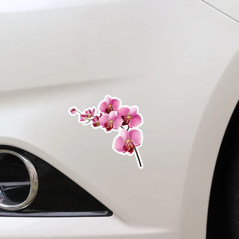 Volkrays Interesting Car Sticker Orchid Decor Accessories High Quality PVC Decal for Seat Leon Opel Astra H Land Rover 11cm*11cm |