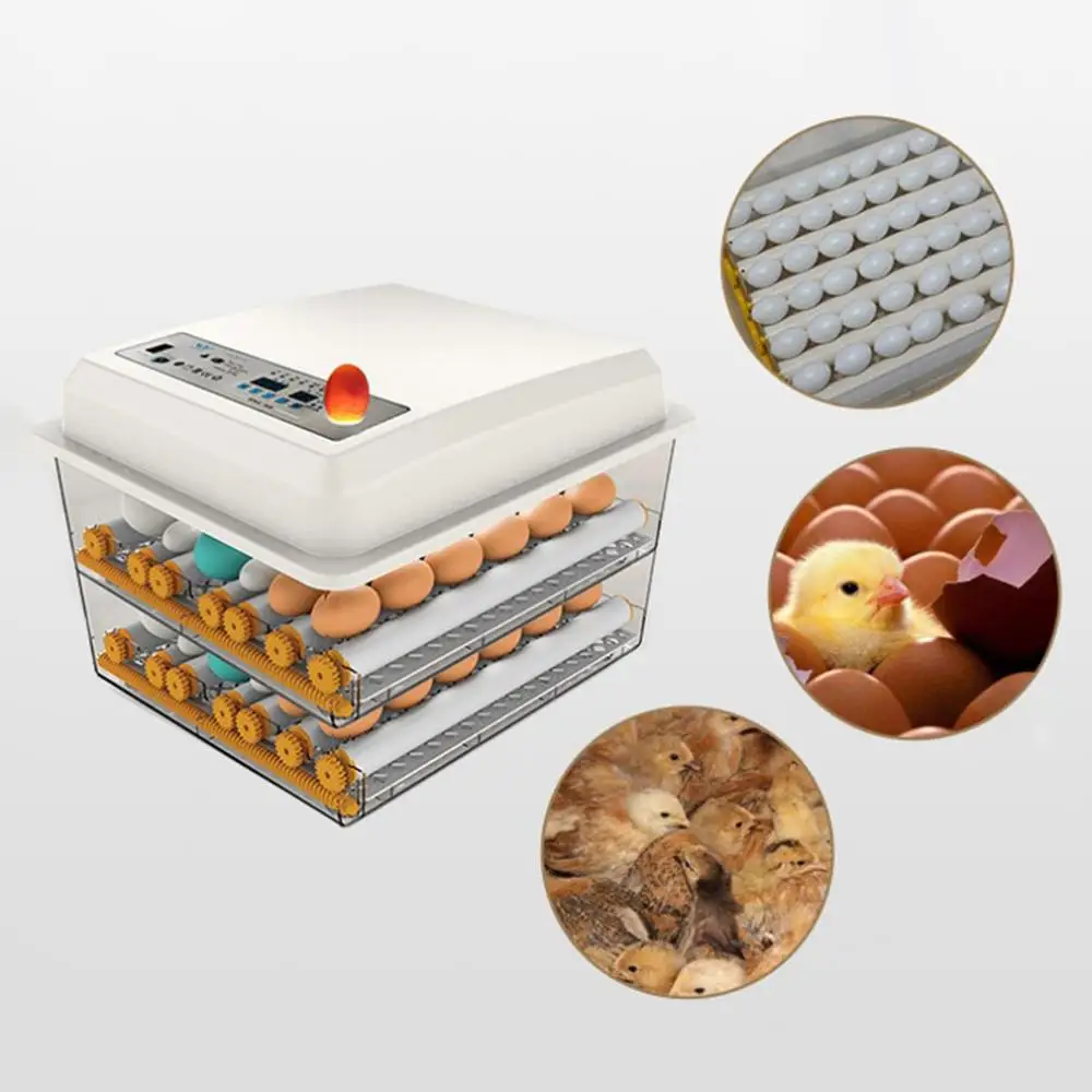 

Egg Incubator Fully Automatic 16 Eggs Digital Mini Brooder Small Chicken Bird Egg Incubator Automatic Farm Incubation Tools