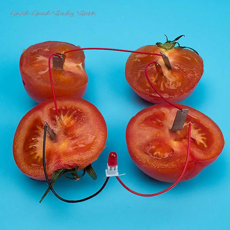 1 Набор детский научный набор биоэнергетики эксперимент по поставке картофеля и