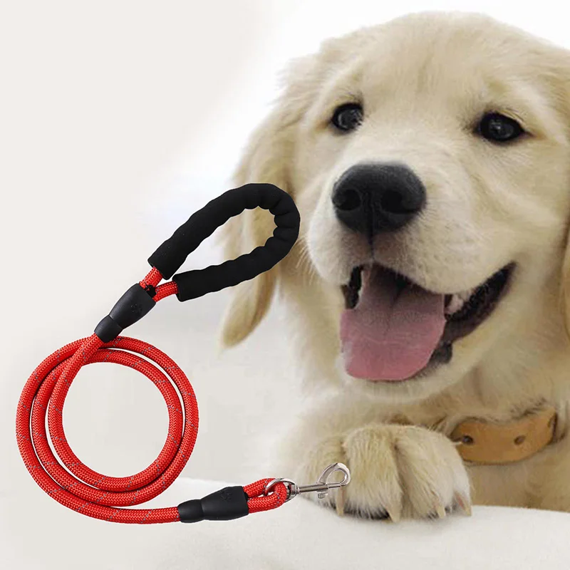 

Dog Nylon Training Leash Webbing Recall Long Lead Line Pet Traction Rope Great for Teaching Camping Backyard