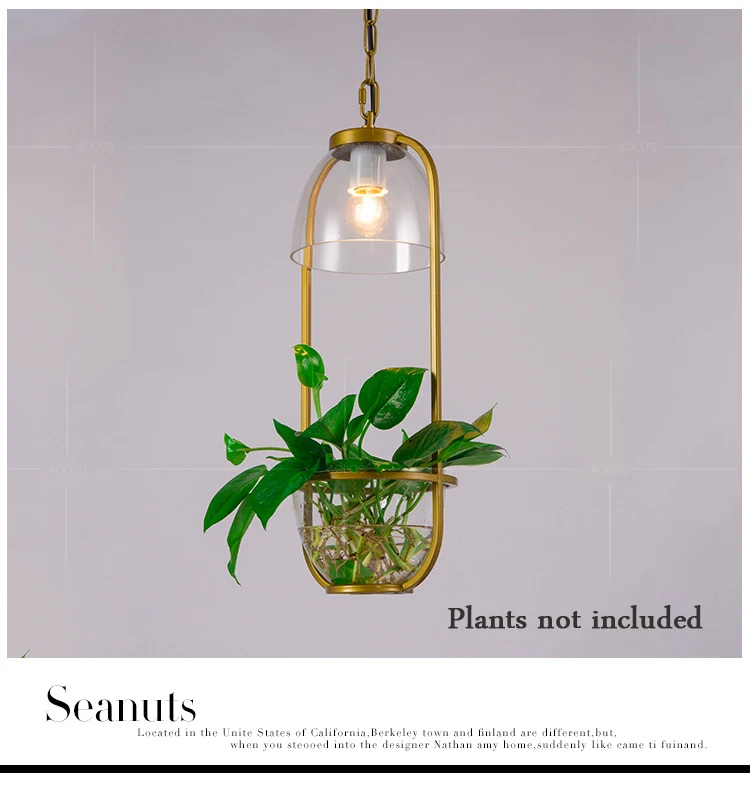 

A Pastoral Pendant Light American Style Modern Living Plant Flowerpot Planter lamp Restaurant Creative Cafe hotel decor