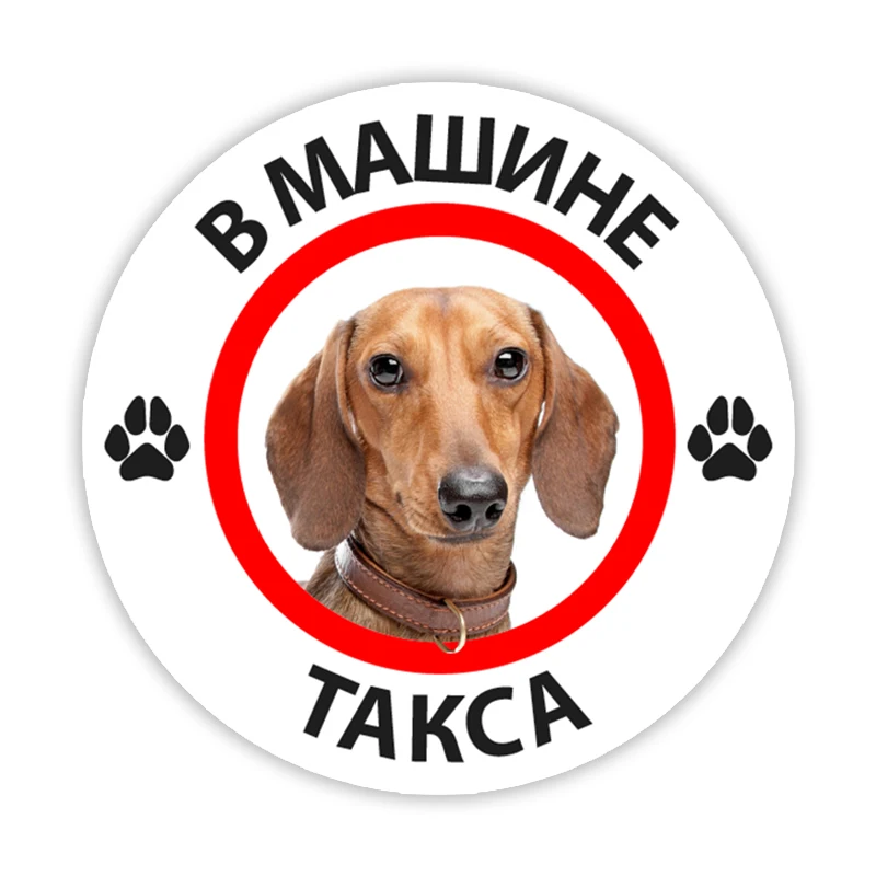 

B0245 Печатный самоклеющийся наклейки на авто В машине такса водонепроницаемые наклейки на машину стикер этикеты наклейки стайлинга автомобилей украшения на бампере автомобиля заднее стекло