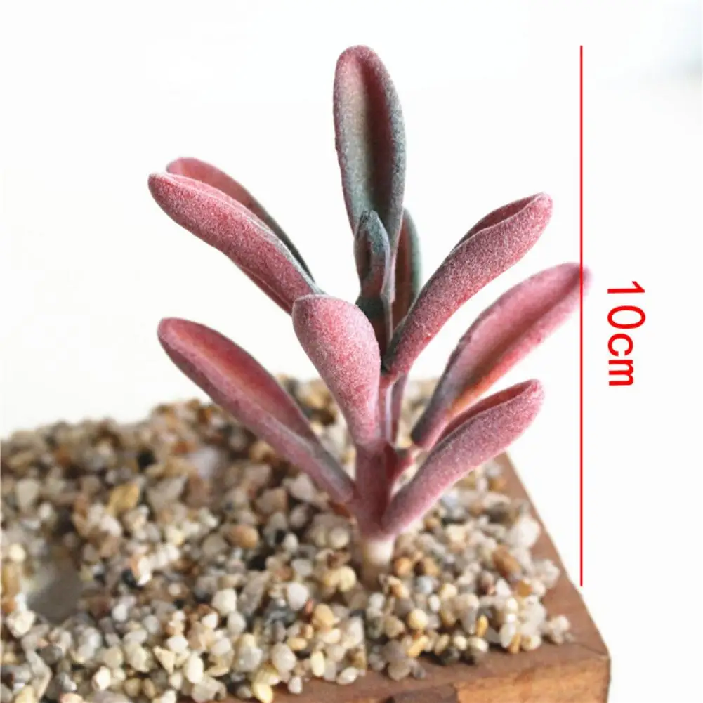 Искусственные растения суккуленты ремесло флористика украшение пластиковые для