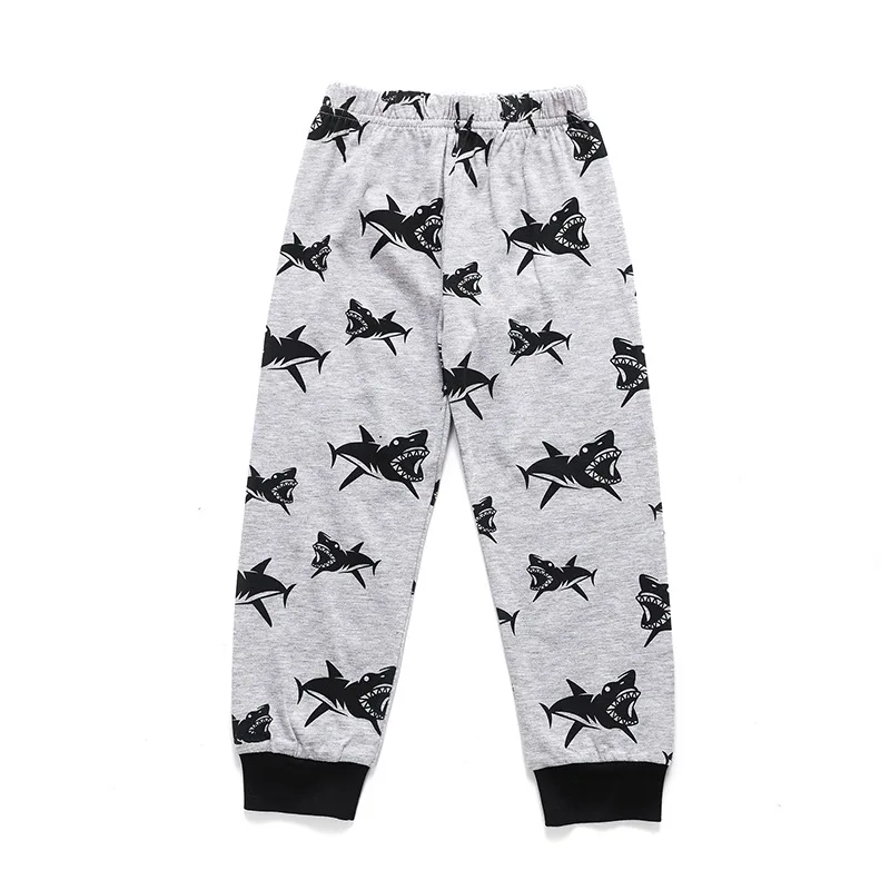 Комплекты одежды для мальчиков комплект из 2 предметов: футболка + штаны осенние