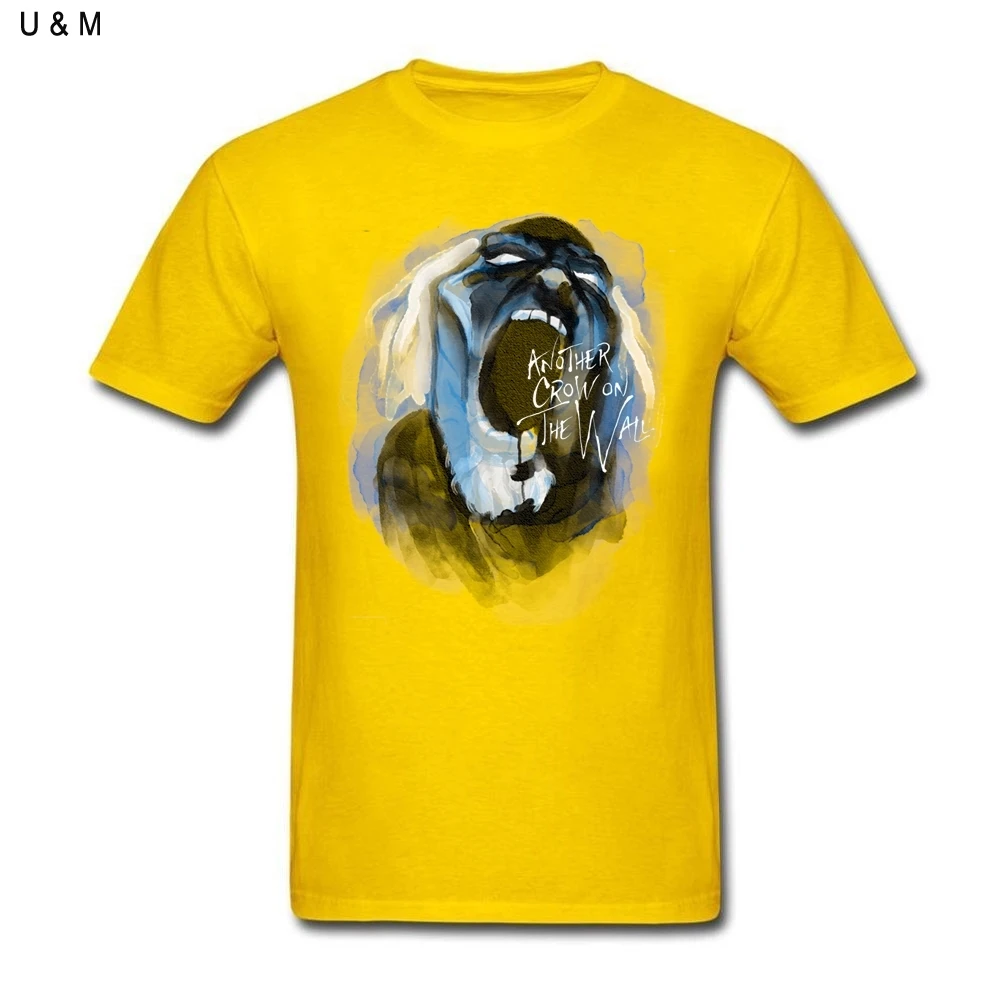 Аутентичные винтажные красивые футболки с надписью другая Ворона на стене