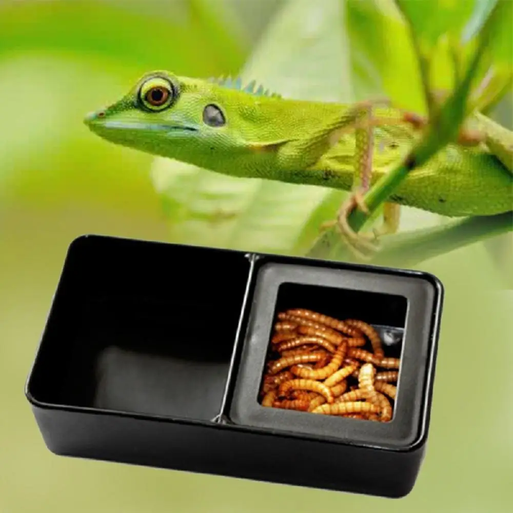 

Dropshipping Plastic Pet Insect1 Reptile Breeding Live Food Feeding Box Two Compartment Feeder