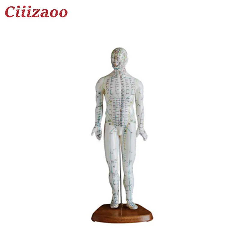 Модель акупунктуры человека 46 см для обучения биологии | Канцтовары офиса и дома