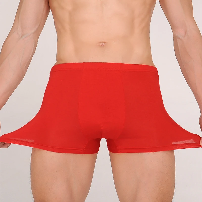 5 шт./лот мужские бамбуковые трусы высокого качества Мужское нижнее белье