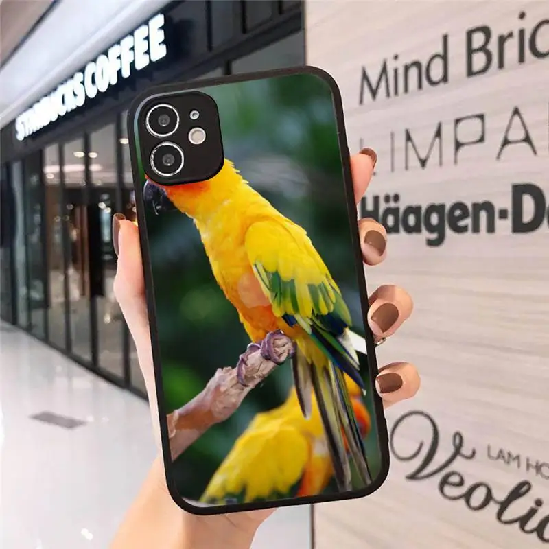 

parrot Art interesting Phone Cases Matte Transparent for iPhone 7 8 11 12 s mini pro X XS XR MAX Plus cover funda