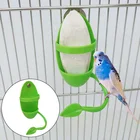 Удобная кормушка, бытовой пластиковый держатель для фруктов, для попугаев