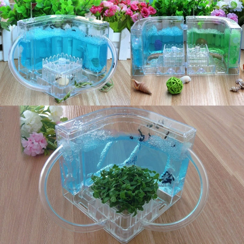 3D Ant Farm Educational Maze Live Feeding System Ants Habitat World Pet Villa Wholesale self contained environment dropshipping | Дом и сад