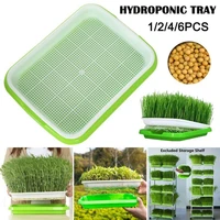 soilless nursery tray seeding sprout plate home garden hydroponic plant wheatgrass growing pots