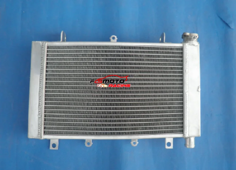 Алюминиевый радиатор охлаждения для TRIUMPH TT600 2000-2003 2000 2001 2002 2003