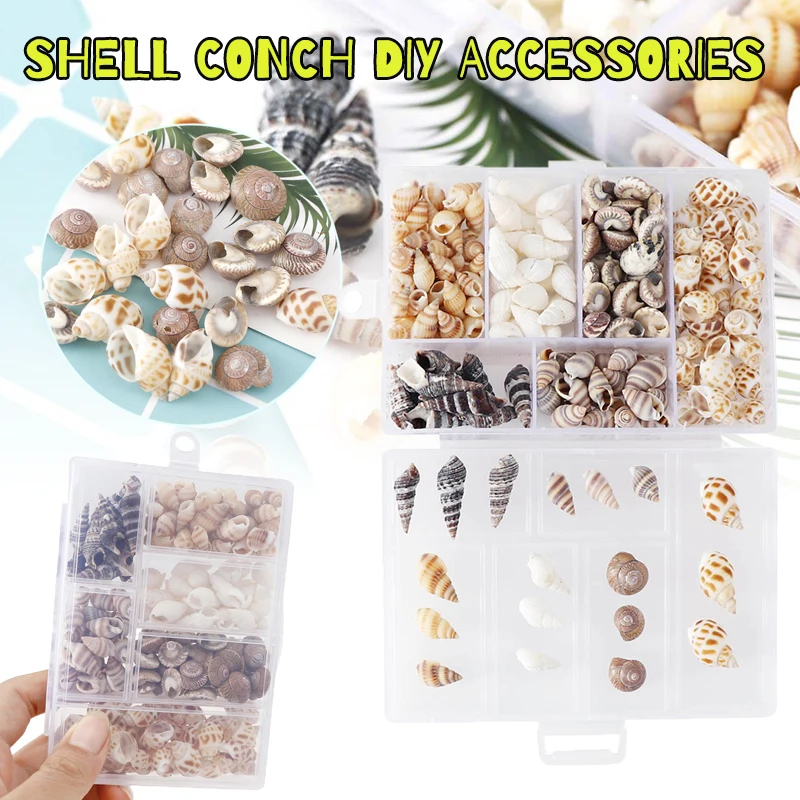 

100 шт., ракушки для аквариума, ракушки из натуральной морской ракушки