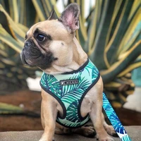 mesh dog harness leash set french bulldog pug no pull ins breathable pet vest fashion printed clothes for small medium dogs