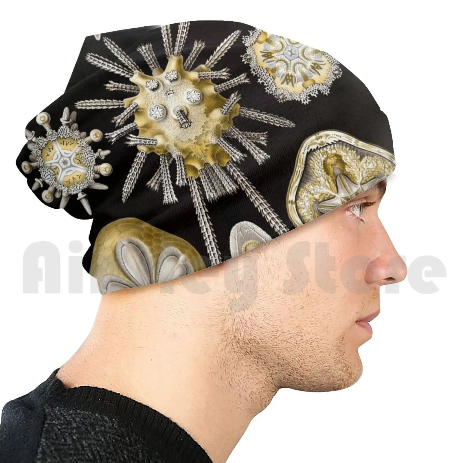 Ernest Haeckel Echinidea мелкое искусство литография морские шапочки вязаная шапка хип-хоп