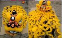 lion dance mascot costume wool southern lion china folk art for two adult halloween christmas apparel cartoon character clothes