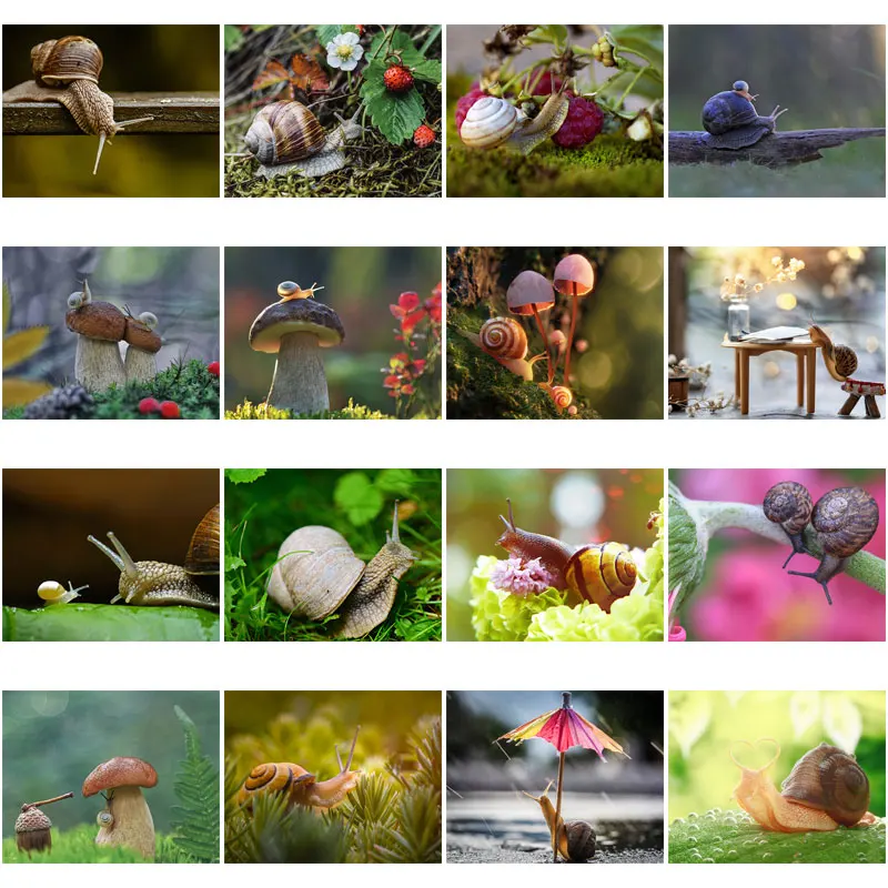 

Diy Diamond Decoration Painting Mushroom Snails Animal Square Diamond Round Diamond Customizable Wall Art Decoration