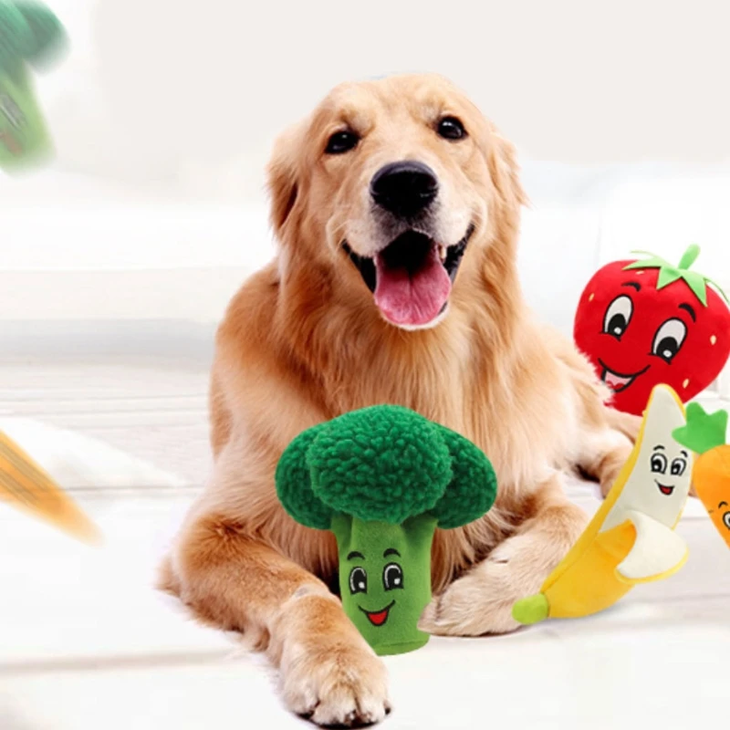 

Durable Dog Toys with Rope Body and Stuffed Head for Puppy Gift for Pet Interest broccoli shape fluffy softness cute dogs toys