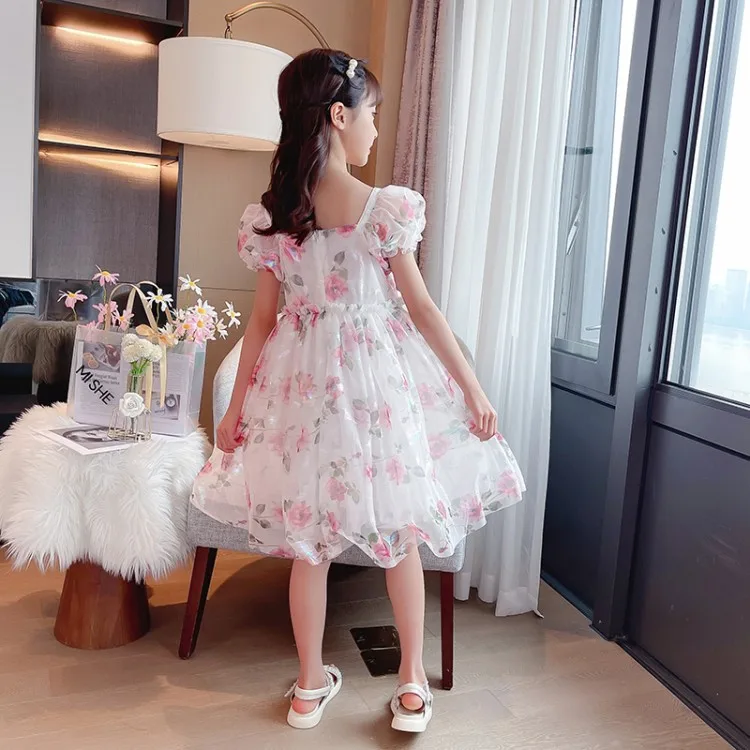

YY2046-1 Rose mesh