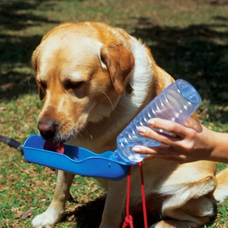

250ml Foldable Pet Dog Drinking Water Bottles Travel Hand Held Puppy Dogs Squeeze Water Bottle Dispenser Flip Down Water Pan