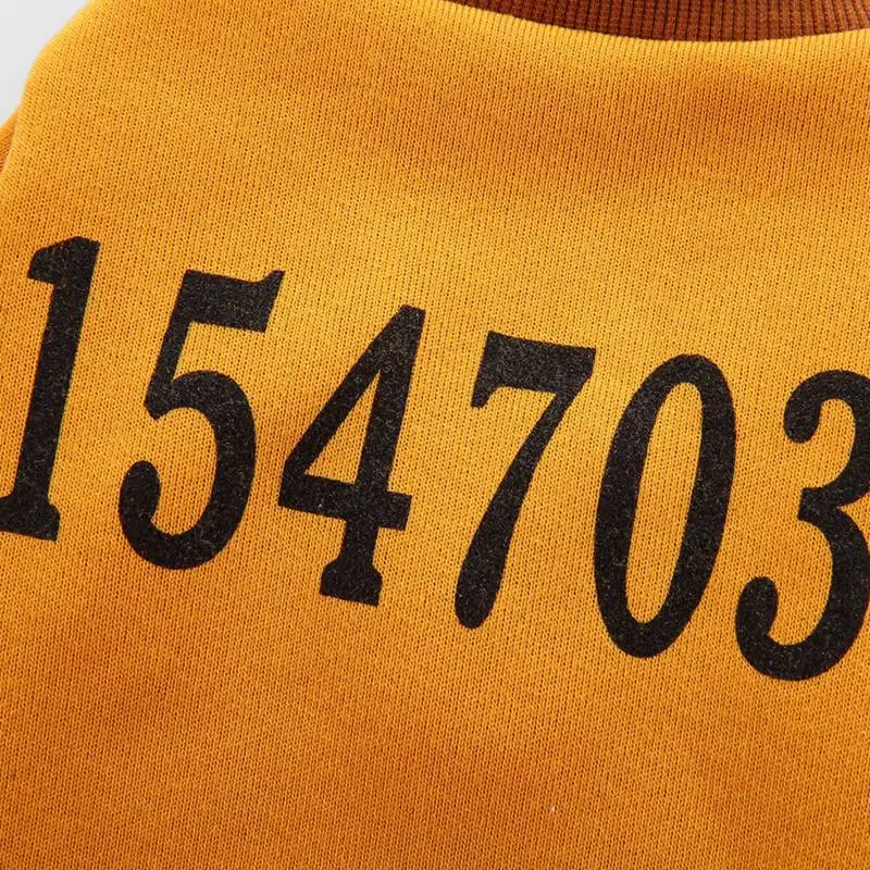 Хэллоуин Одежда для домашнего питомца собаки 2 брюки с широкими штанинами пальто