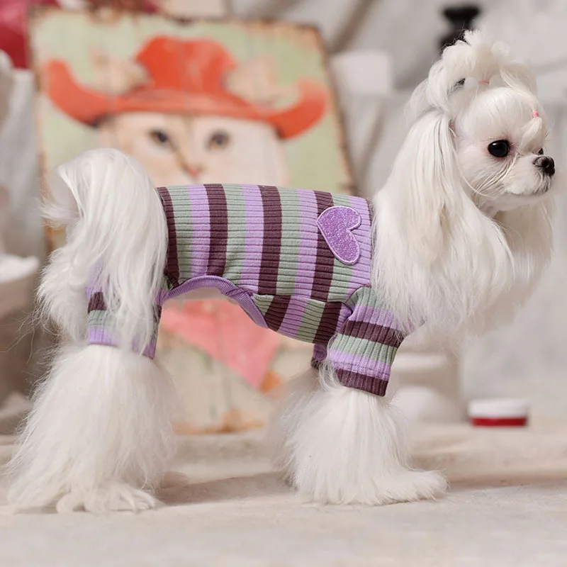 Одежда для домашних животных на осень и зиму новейший стиль Радужный принт с