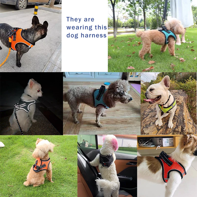 

New Dog Harness Reflective Pet Vest Adjustable Breathable Mesh Walking Harness No Pull For S Medium Dog Cats Puppy Safety Vest