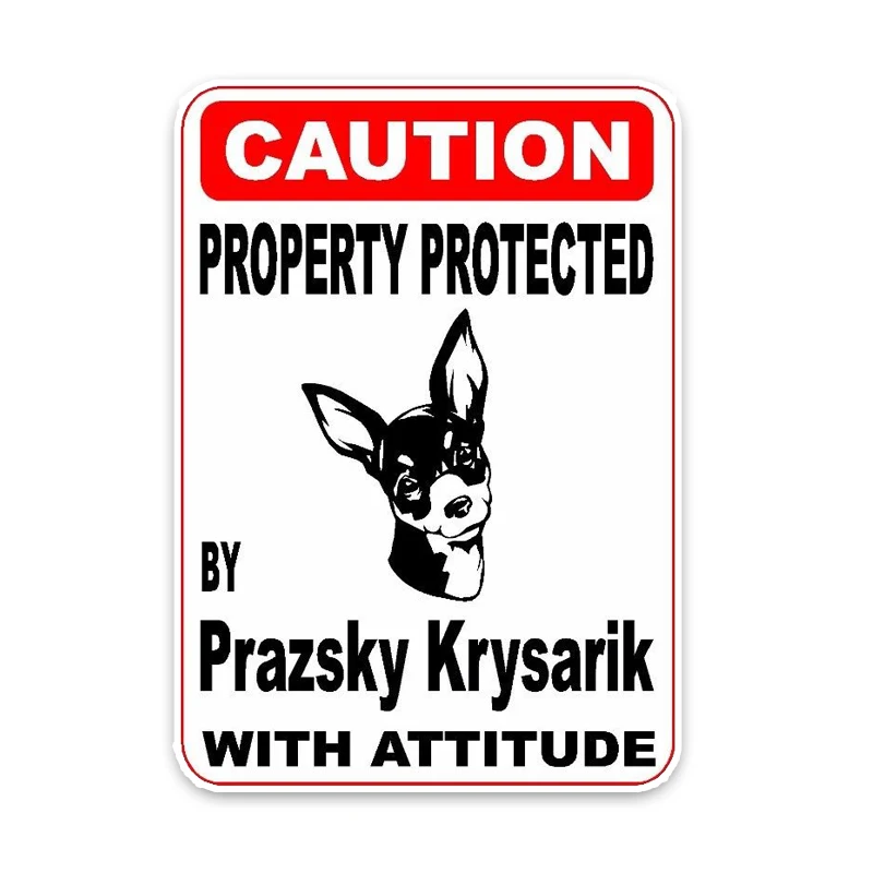 

14.2CM*10CM Property Protected By Prazsky Krysarik Dog Car Decoration PVC Sticker Decal