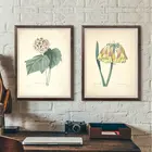 Ретро ботанический Холст Картина домашний декор для гостиной спальни Винтаж Древний цветок Настенная картина A1 A2 A4 Размер постер