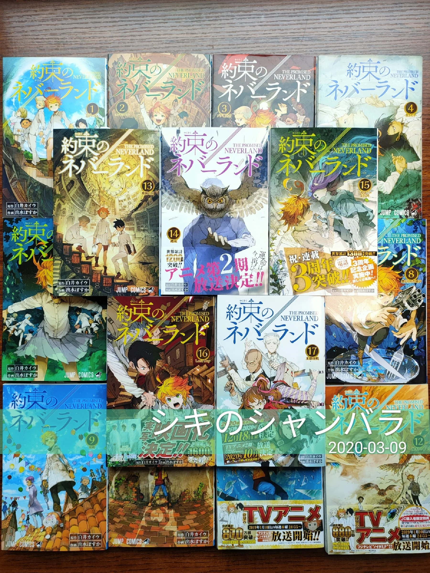 Рисунок 2 - 18 книг Neverland