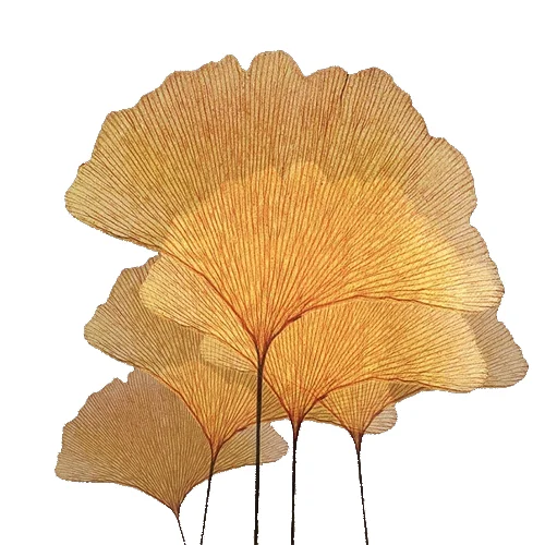 1 шт. осенние листья желтый листок гинкго стиль наклейка в стиле граффити