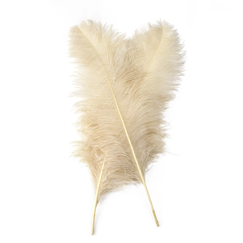 

10pcs High Quality Beige Ostrich Feathers 15-70cm DIY Natural Plumes For Wedding Christmas Home Party Craft Decoration wholesale