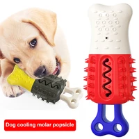 bite resistant dog toothbrush frozen molar tooth cleaning brushing cooling stick dog toy chew toys puppy dental care pet supplie