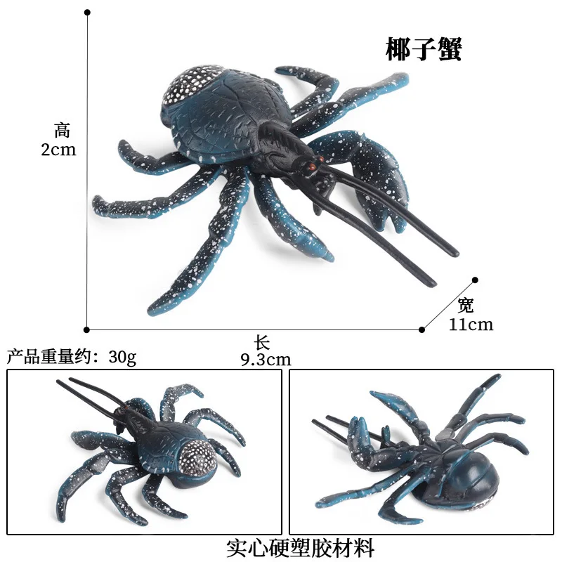 Кокос Краб животных модель фигурку море экшн-фигурки коллекция игрушка из ПВХ |
