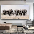 Черный и белый Африке слон дикий картина с рисунком животных Плакаты и принты Cuadros настенные картины для Декор в гостиную