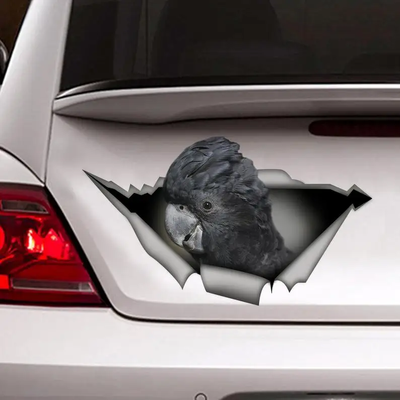 

Black Cockatoo car decal, parrot decal, Black Cockatoo sticker