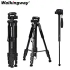 Штатив Walkingway Q222 для камеры, профессиональный треножный Штатив для путешествий, подходит для цифровой зеркальной камеры
