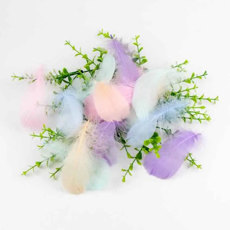 

Macarons Color Natural Swan Feathers Chicken Plumes DIY Craft Decortion