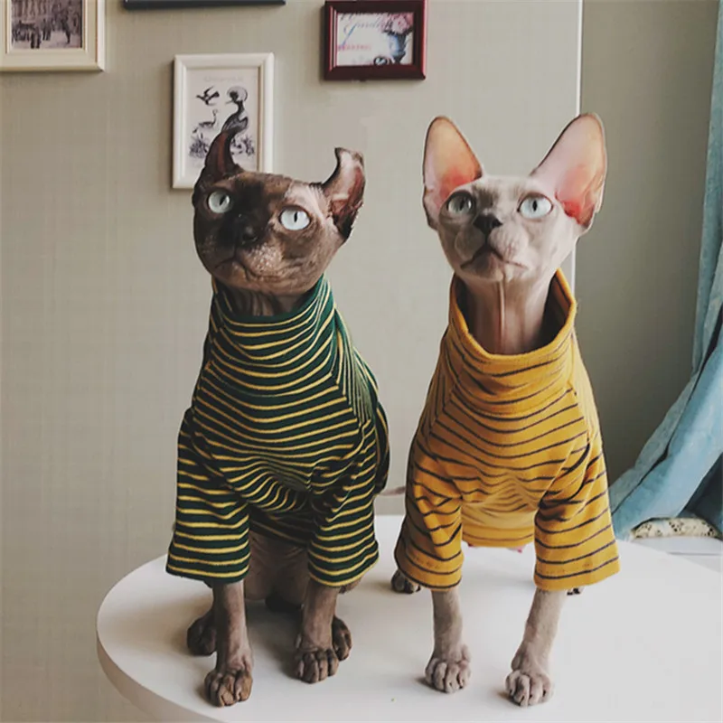 

Stripe Dog Cat Clothes Steefan Sphinx Clothes Devin Literature Lovers Pets Dog Sweater Pet Costume Cat Outfit Clothing Sweater