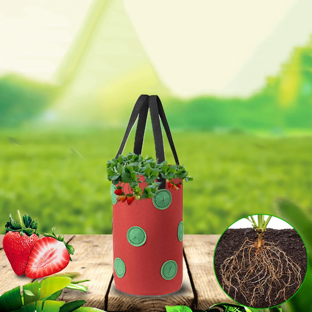 

Strawberry Planting Bag Observation Windows Felt Cloth Planter Bag Thicken Breathable Plant Grow Bag For Vegetable Flower Herb