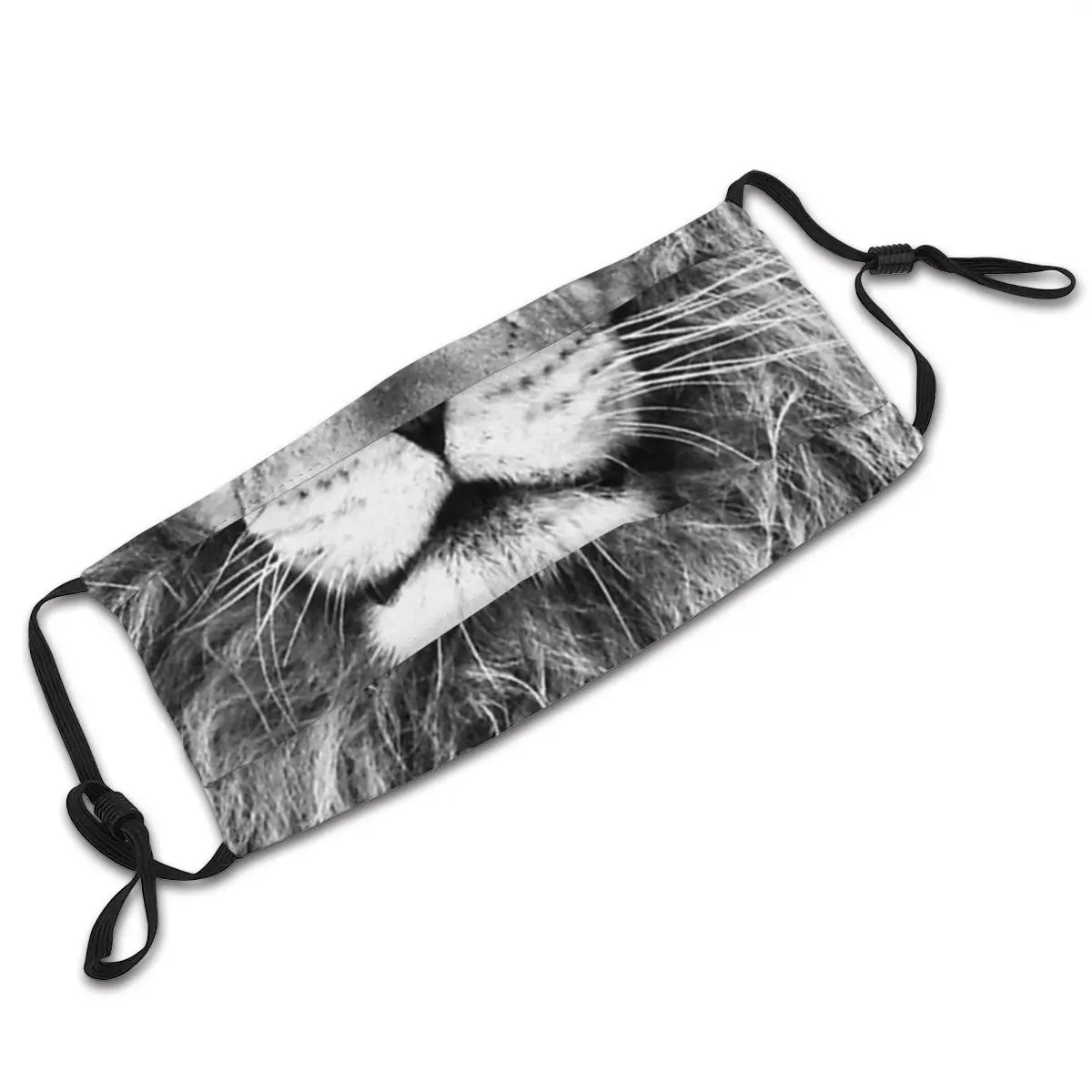 

Lion Unisex Non-Disposable Mouth Face Mask with Filter PM2.5 Anti Haze Dust Mask Protection Cover Respirator Mouth Muffle