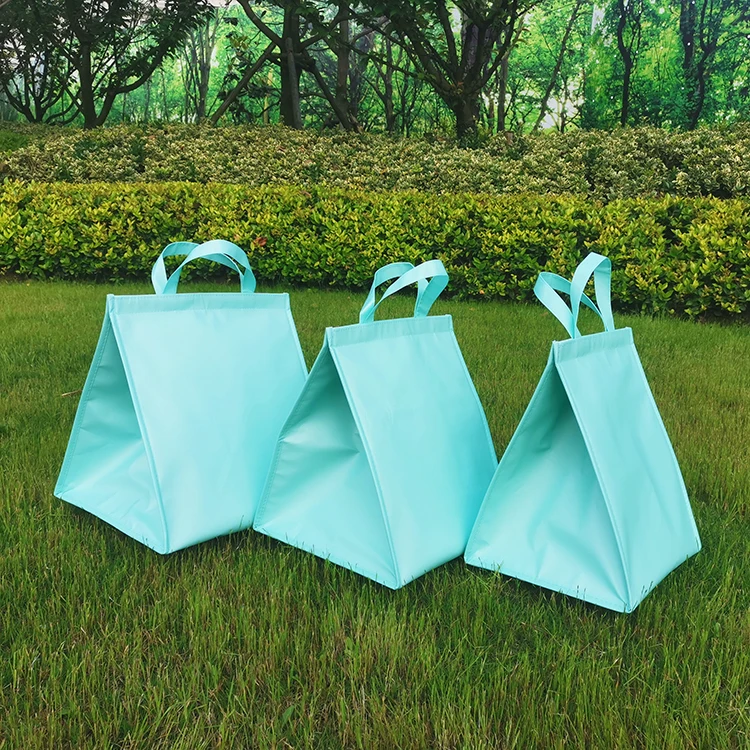 Изолированные сумки-кулеры для пикника 6-8-10 дюймов изолированная коробка пиццы