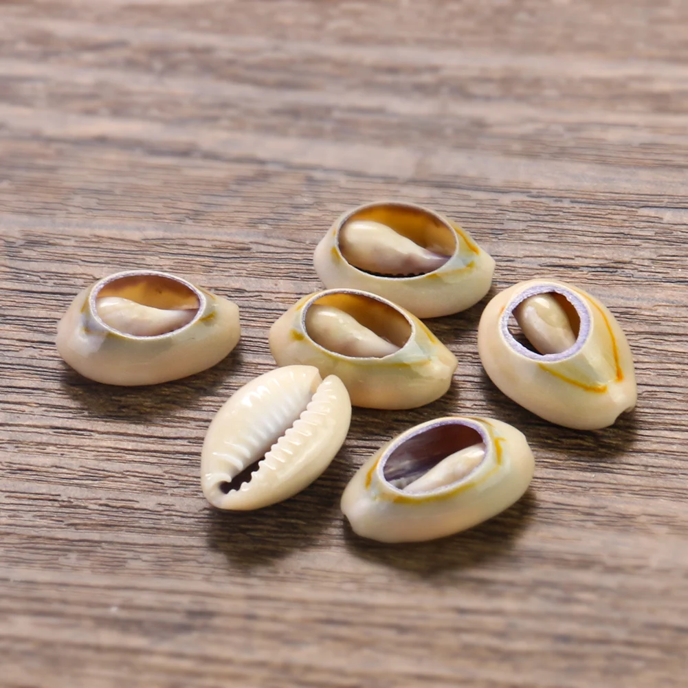 5 шт. подвеска в виде ракушек | Украшения и аксессуары